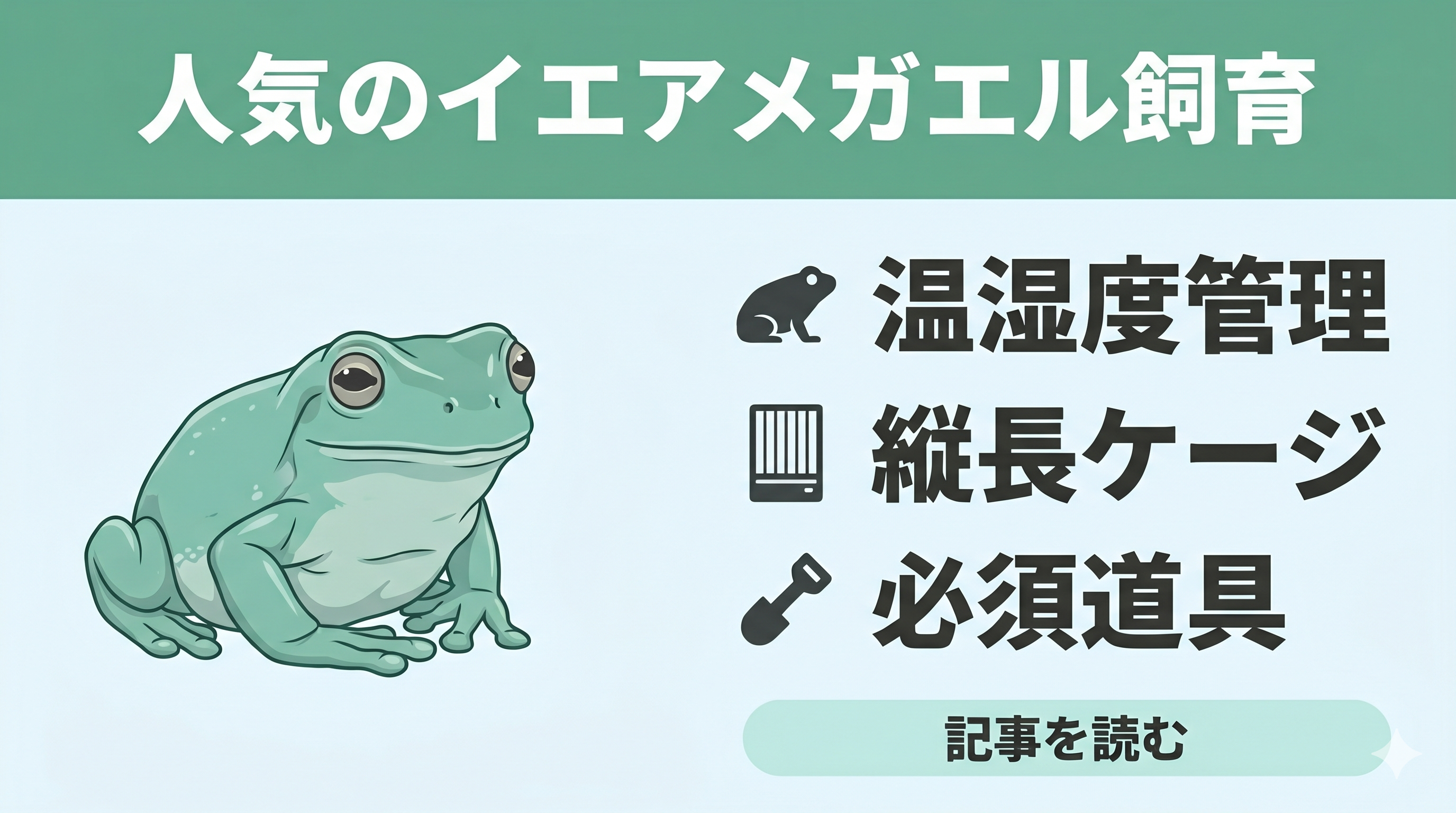 初心者向け】イエアメガエルの飼育ガイド① |生態や飼育方法の基礎知識