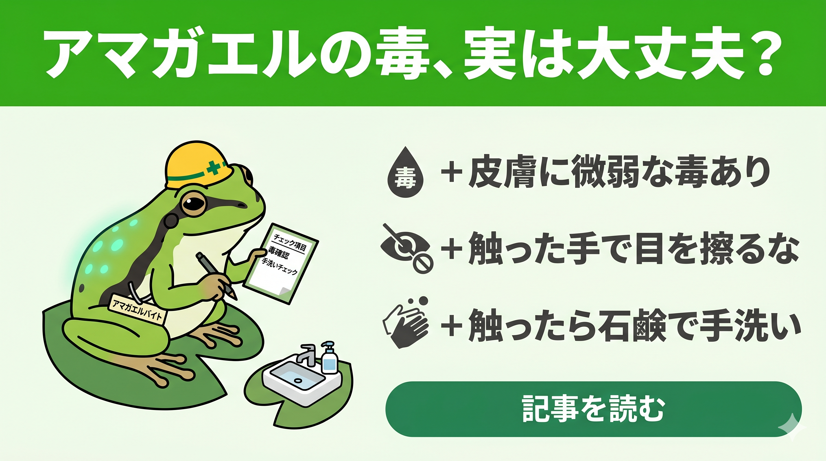 ニホンアマガエルの「毒」が心配な人がまず確認すべき3つの事実と
