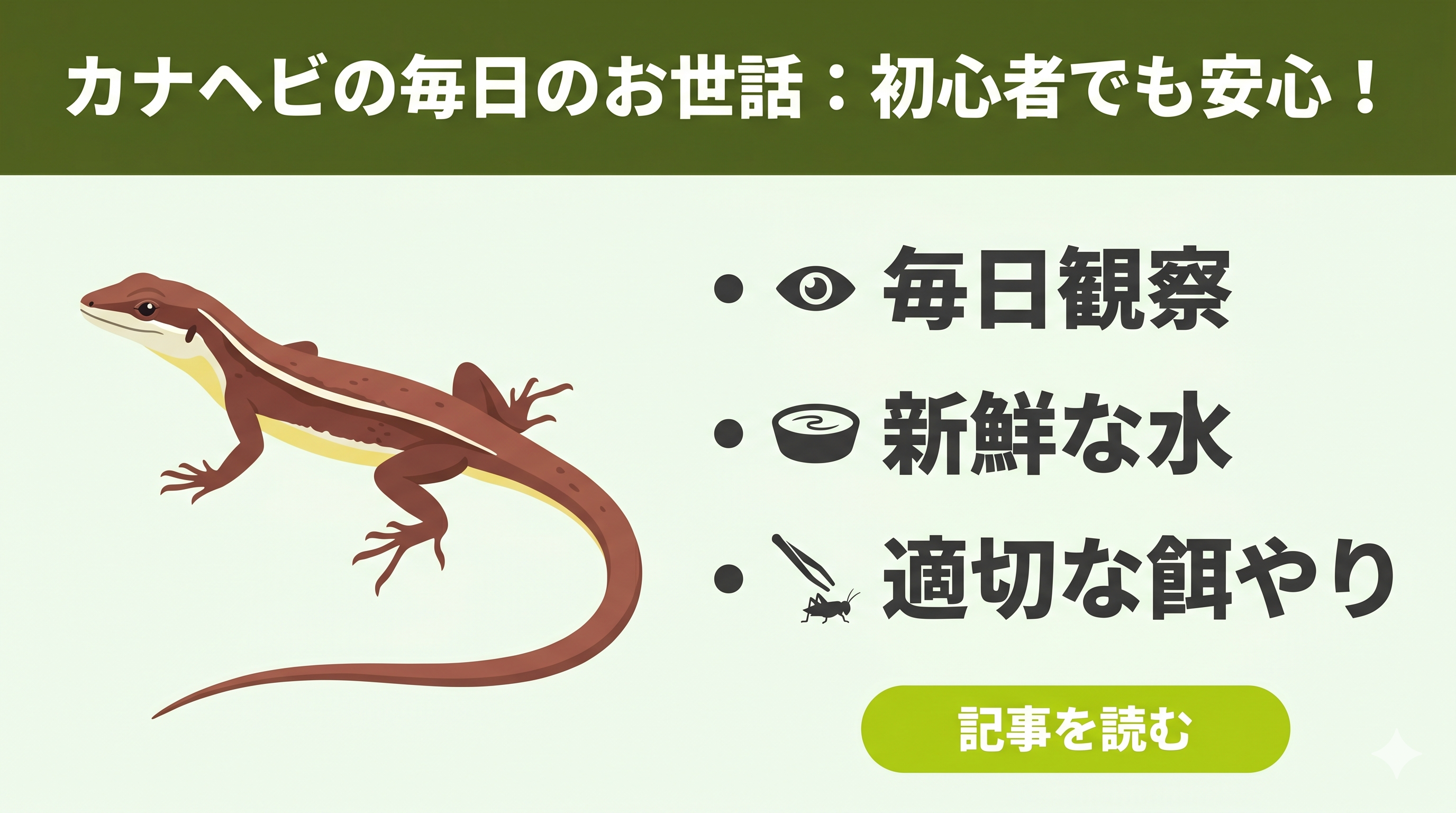 初心者向け】カナヘビの飼育ガイド②｜日々のお世話チェックリスト