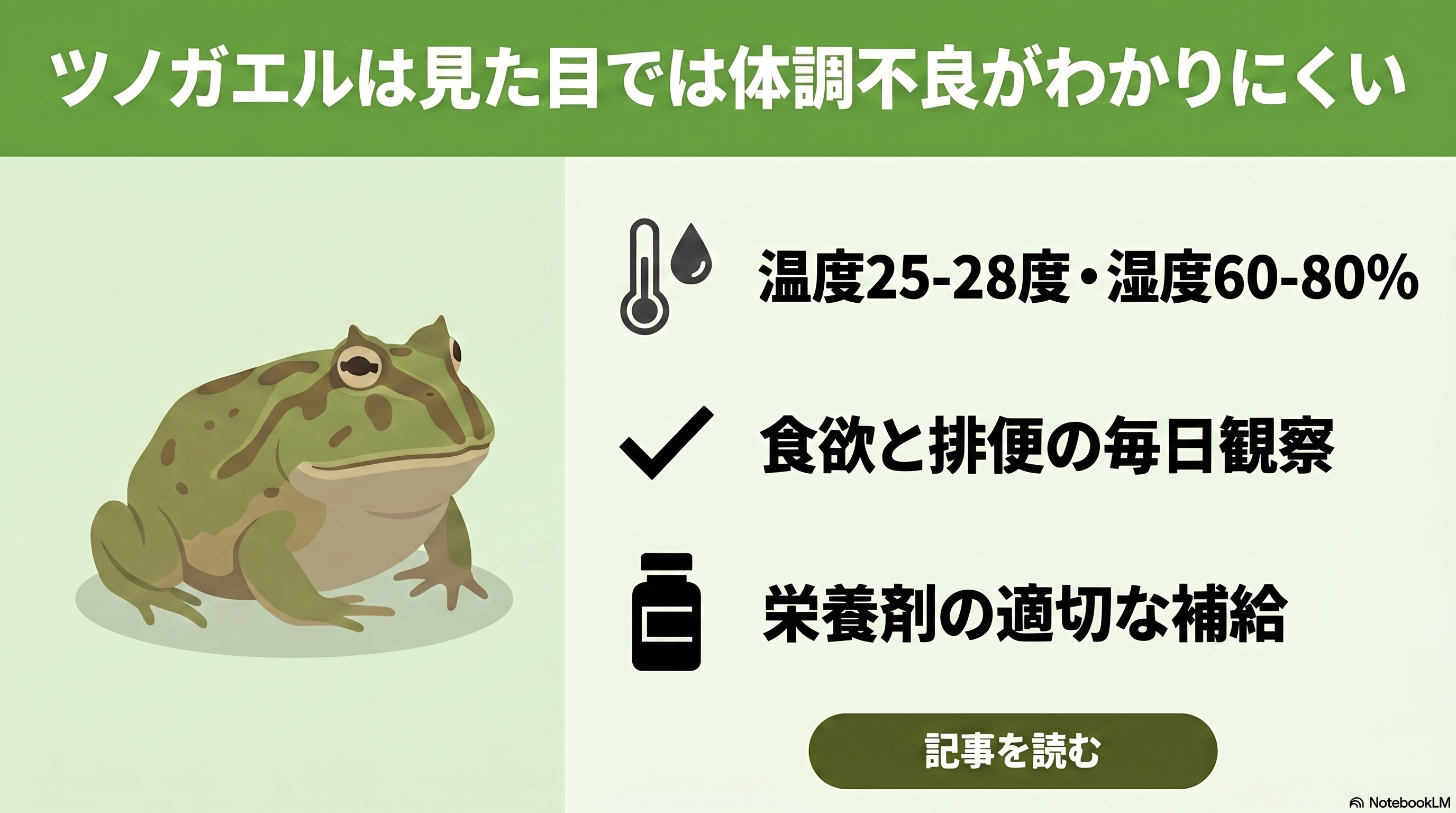初心者向け】ツノガエルの飼育ガイド③ | ツノガエルの病気を予防する