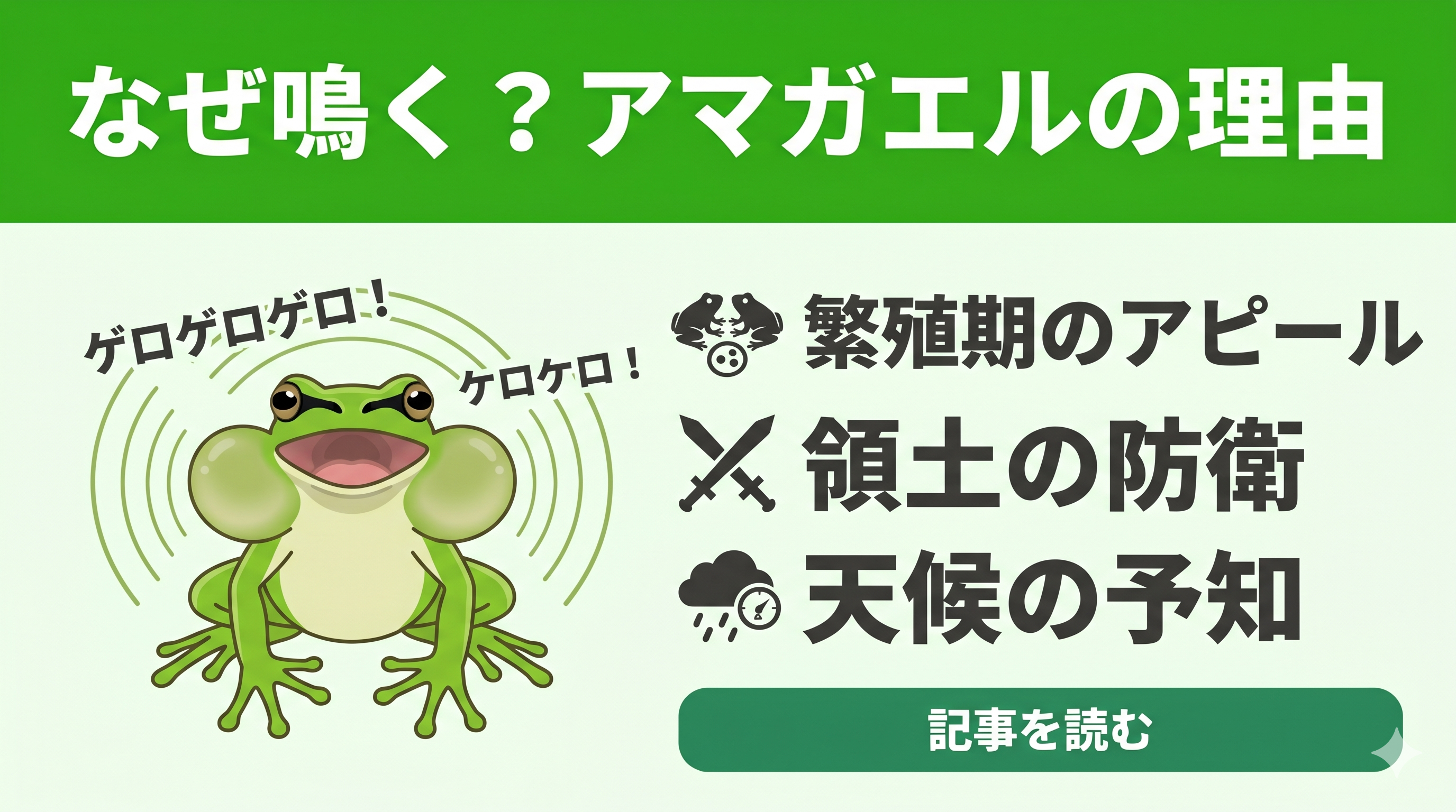 ニホンアマガエルの鳴き声がうるさい?鳴く理由と飼育下での騒音対策 ニホンアマガエルの鳴き声がうるさい?鳴く理由と飼育下での騒音対策