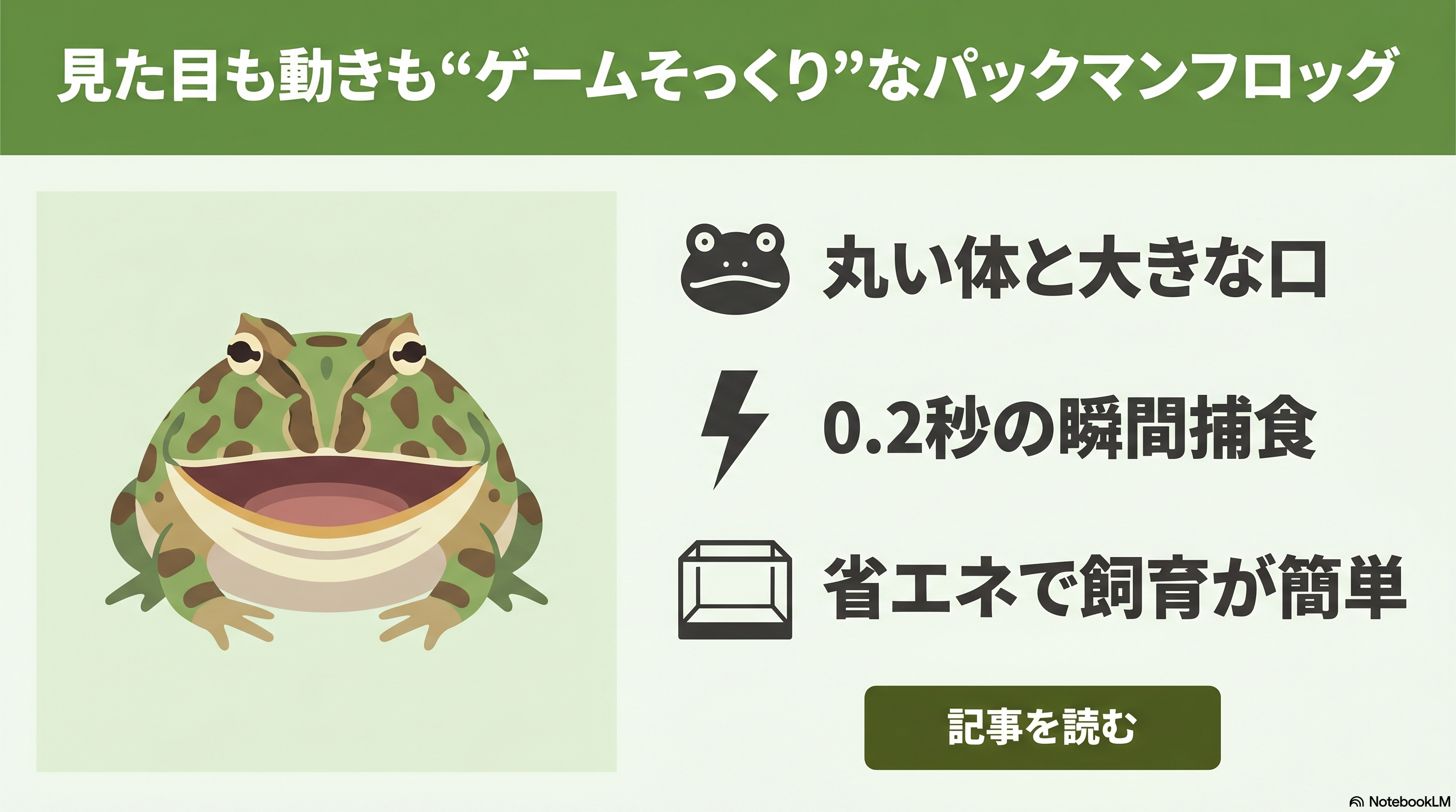 ゲームキャラみたいなカエル！パックマンフロッグの実態とは - エコロギー