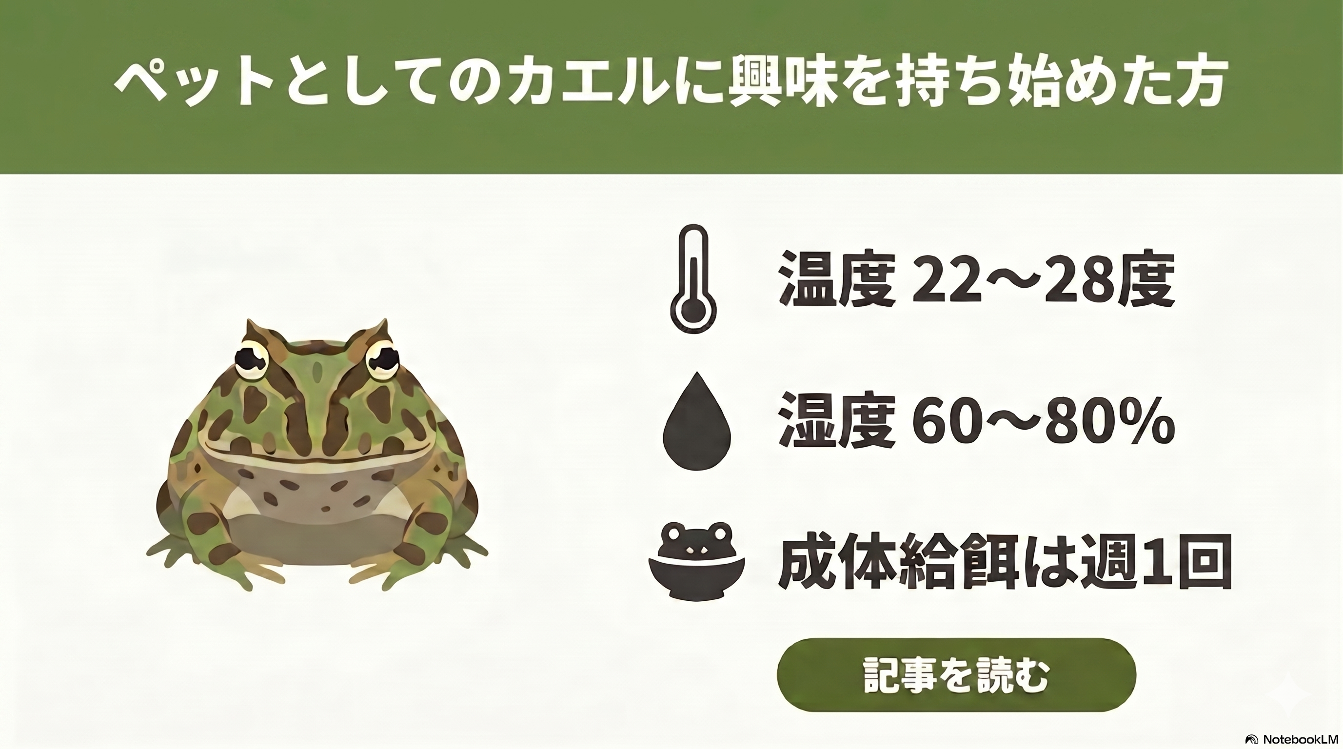 ツノガエルの餌選びと健康管理｜野生と飼育下の違いから見える最適な