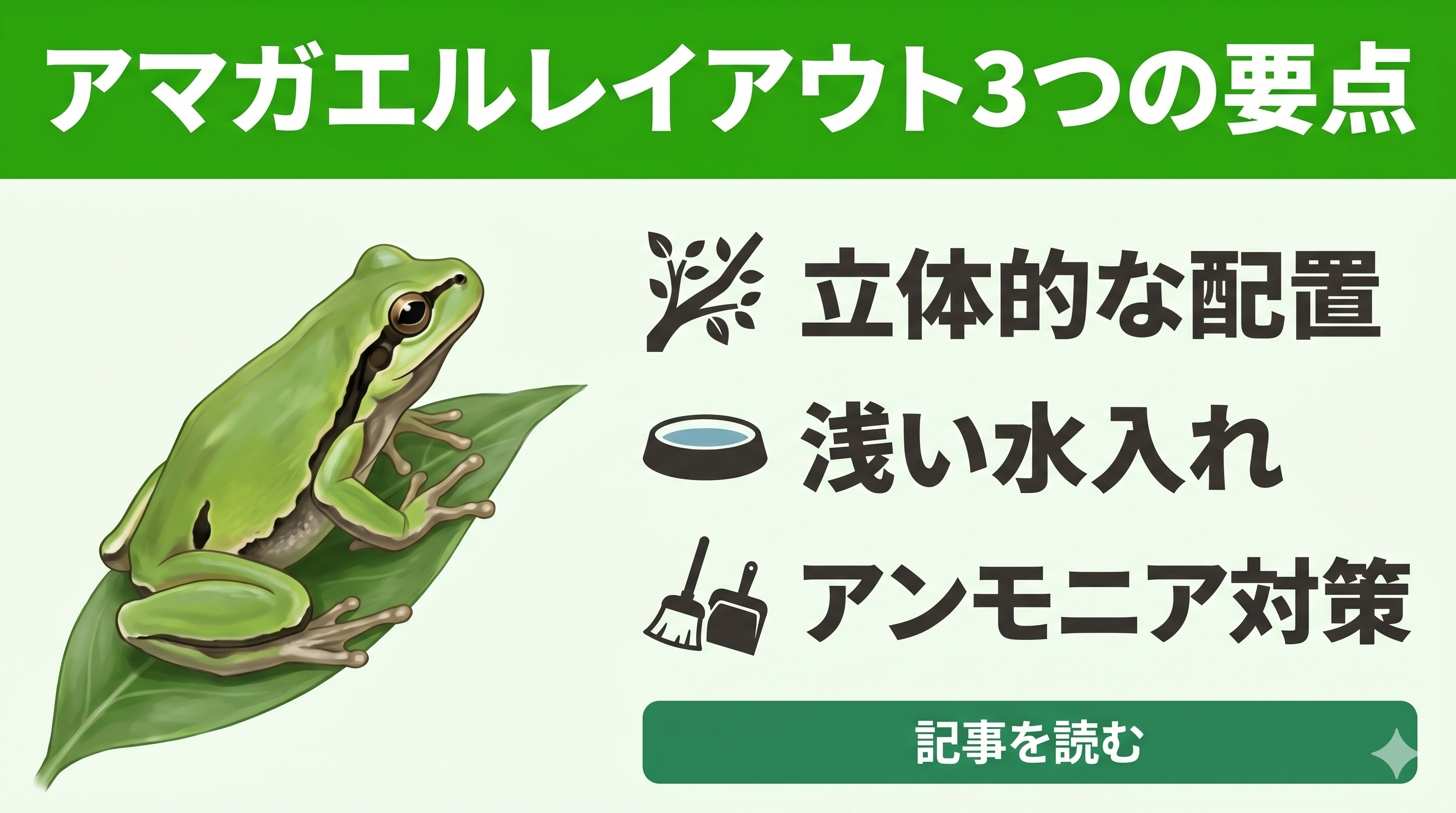 失敗しない】ニホンアマガエルの飼育レイアウト！長生きさせるケージ