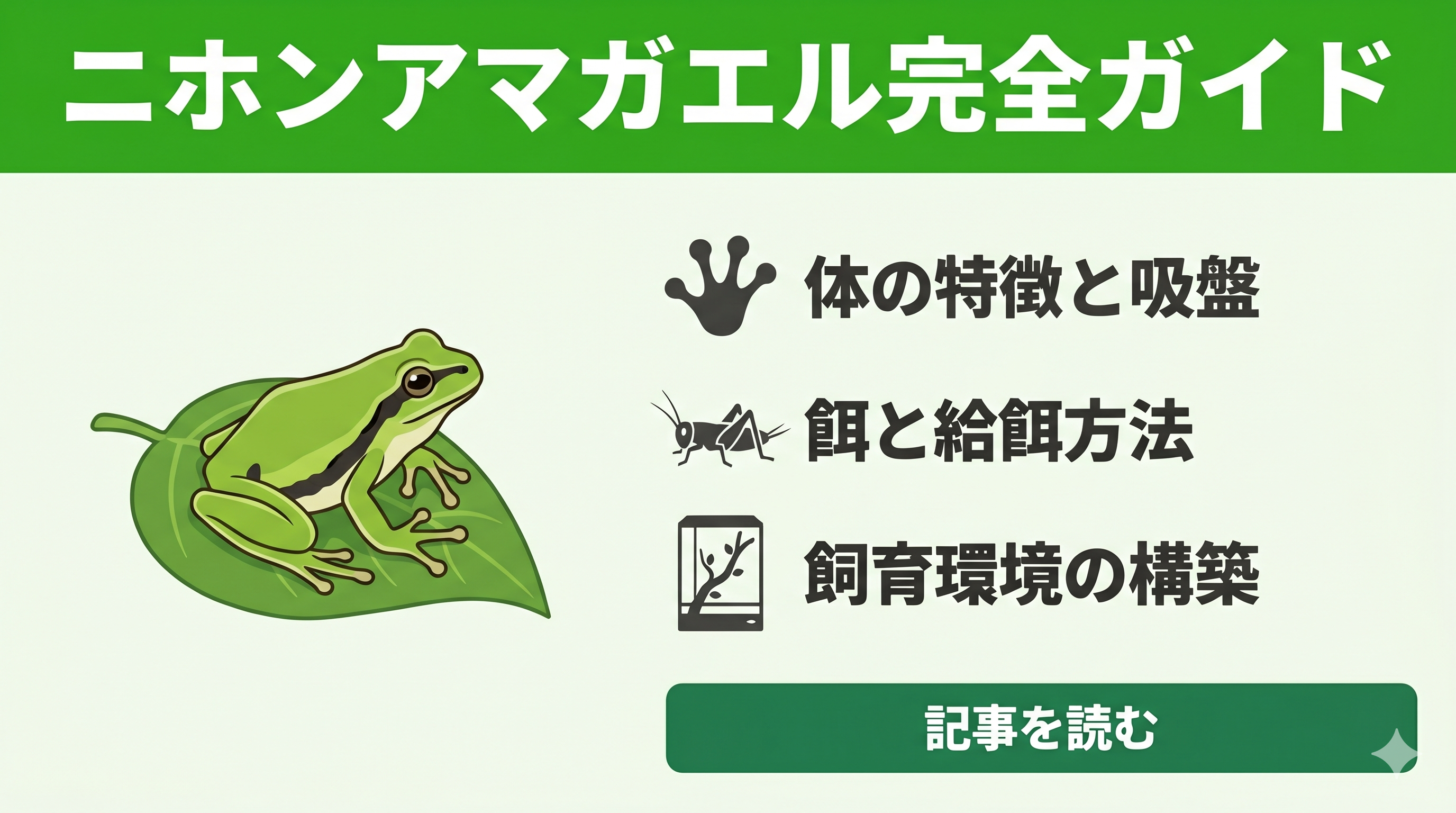 ニホンアマガエル飼育ガイド | 生態・餌の与え方・飼育環境づくり