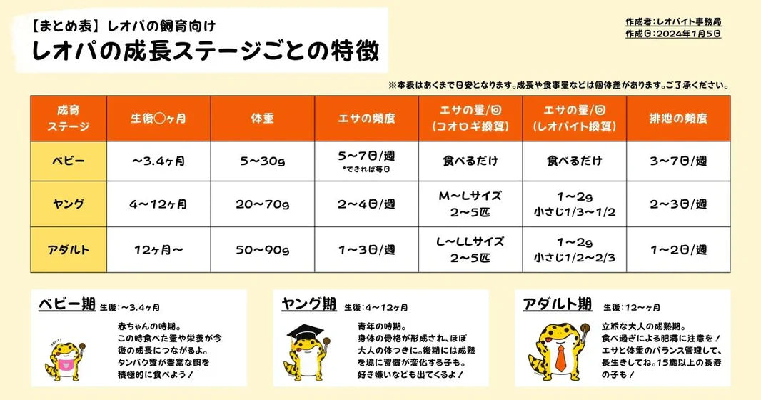 【まとめ】レオパの成長ステージごとの特徴