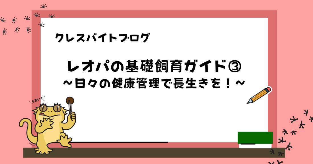 【初心者向け】クレスの飼育ガイド③|日々の健康管理で長生きを!