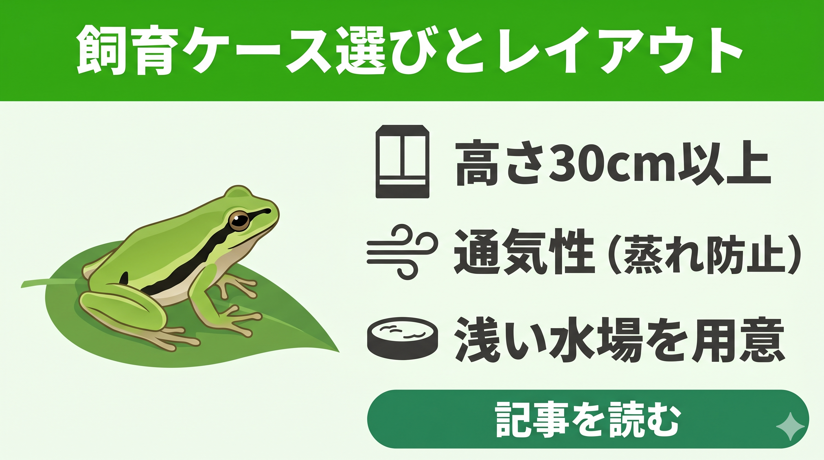 失敗しない】アマガエルの飼育ケース選びと長生きさせるレイアウトの