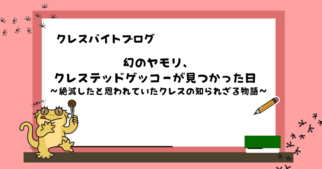 「幻のヤモリ、クレステッドゲッコーが見つかった日」 〜絶滅したと思われていたクレスの知られざる物語〜