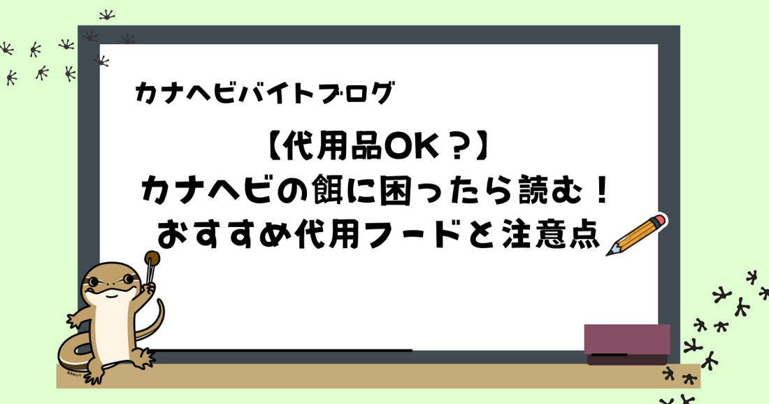 【代用品OK?】カナヘビの餌に困ったら読む!おすすめ代用フードと注意点