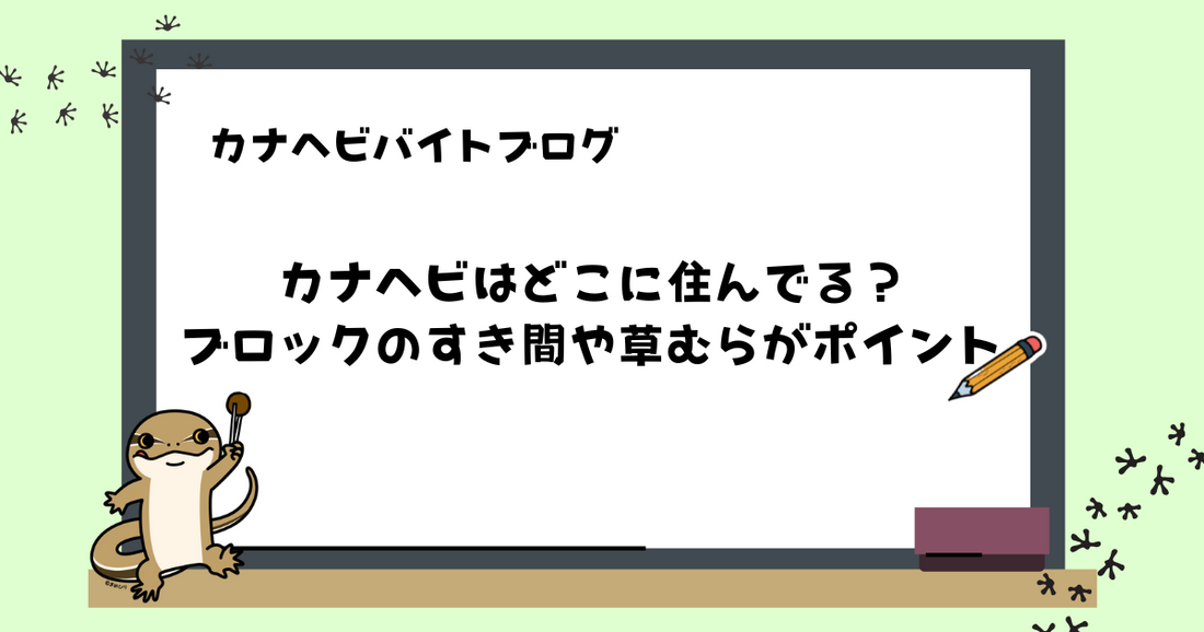 カナヘビはどこに住んでる?ブロックのすき間や草むらがポイント