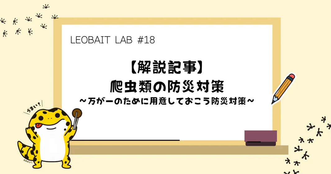 #18【解説記事】爬虫類の防災対策 ~万が一のために用意しておこう防災対策~