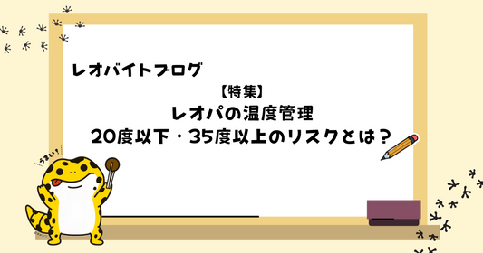 レオパの温度管理、20度以下・35度以上のリスクとは?