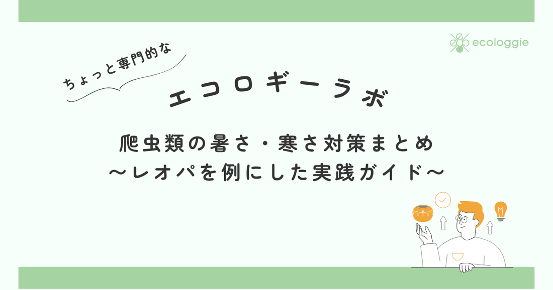 爬虫類の暑さ・寒さ対策まとめ|レオパを例にした実践ガイド