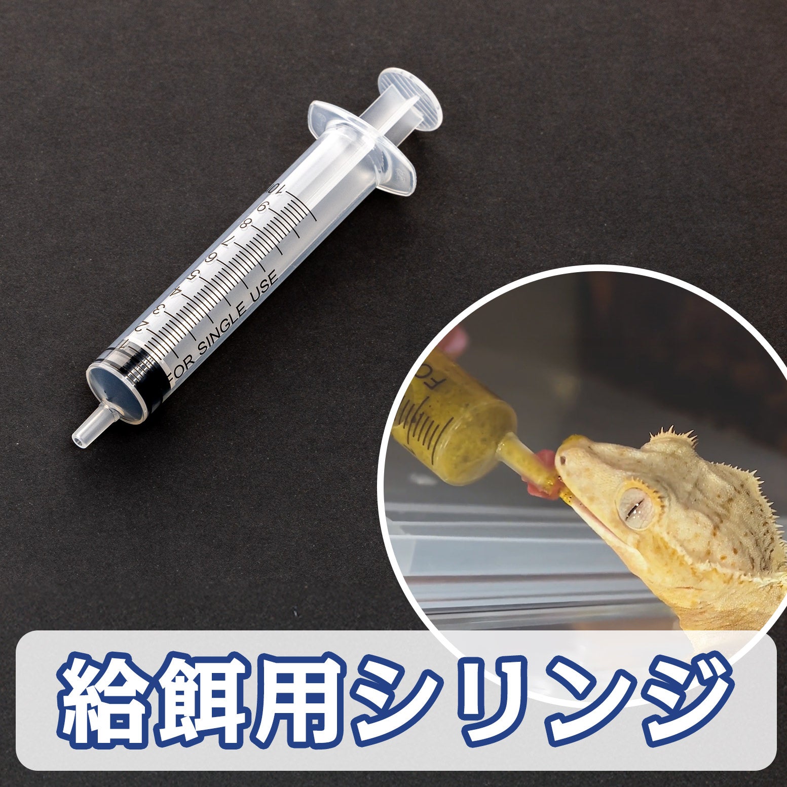 拒食・流動食サポート給餌用シリンジ（10ml） - エコロギー