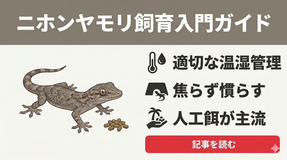 ヤモリの餌ヤモリバイト - 昆虫粉末95%配合の昆虫食ヤモリ向けフード - エコロギー