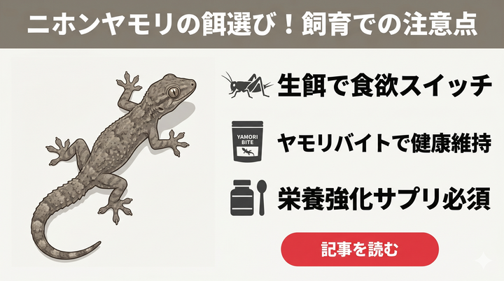 ヤモリの餌ヤモリバイト - 昆虫粉末95%配合の昆虫食ヤモリ向けフード - エコロギー