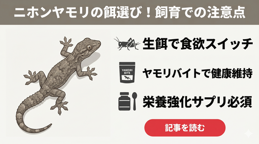 ニホンヤモリは何を食べる？飼育下での餌の選び方と注意点