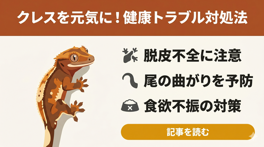 【初心者向け】クレスの飼育ガイド③｜日々の健康管理で長生きを！