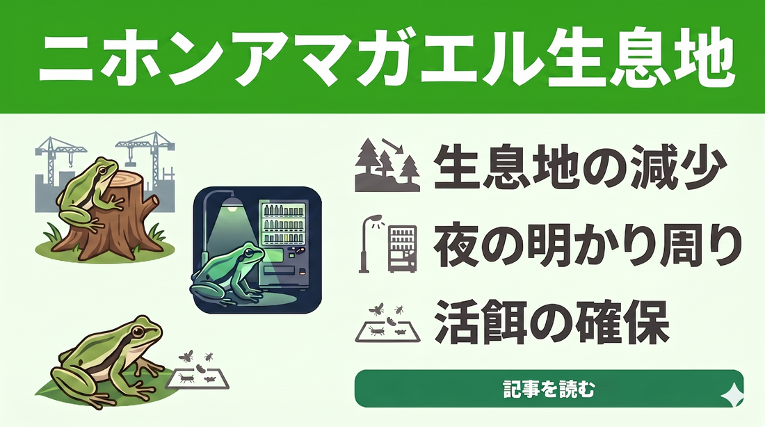 「昔はたくさんいたのに…」ニホンアマガエルの生息地はどこへ？見つからない原因と探し方