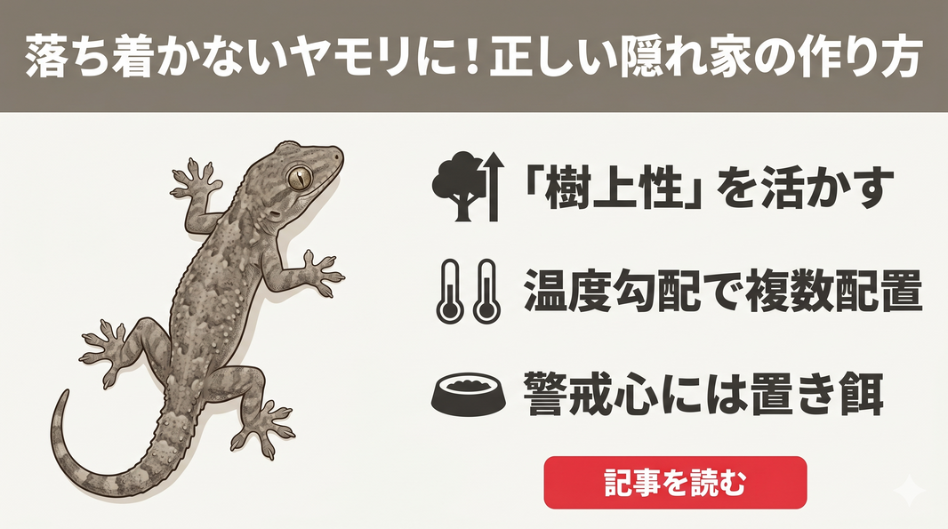 ヤモリの餌ヤモリバイト - 昆虫粉末95%配合の昆虫食ヤモリ向けフード - エコロギー