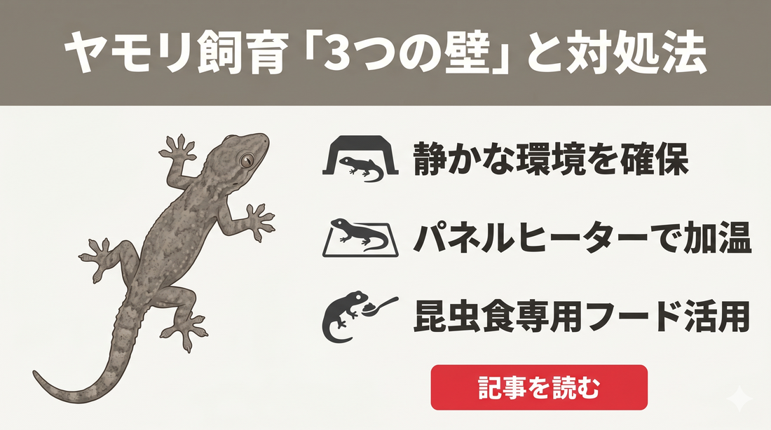 【失敗しない】ニホンヤモリの飼育は本当に難しい？よくある挫折の原因と正しい対処法