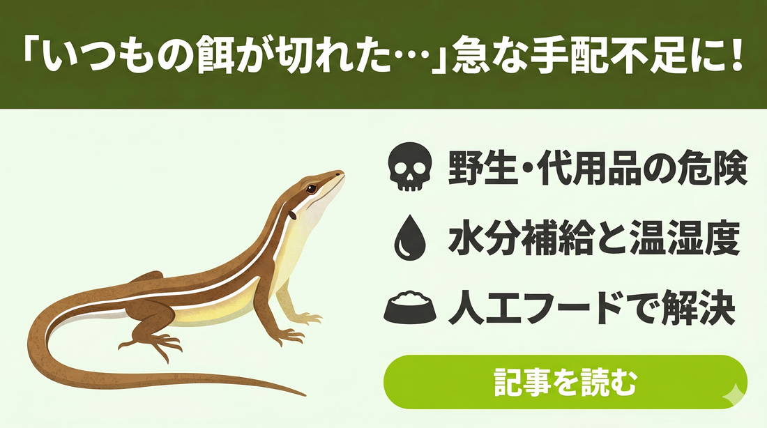 【代用品OK？】カナヘビの餌に困ったら読む！おすすめ代用フードと注意点