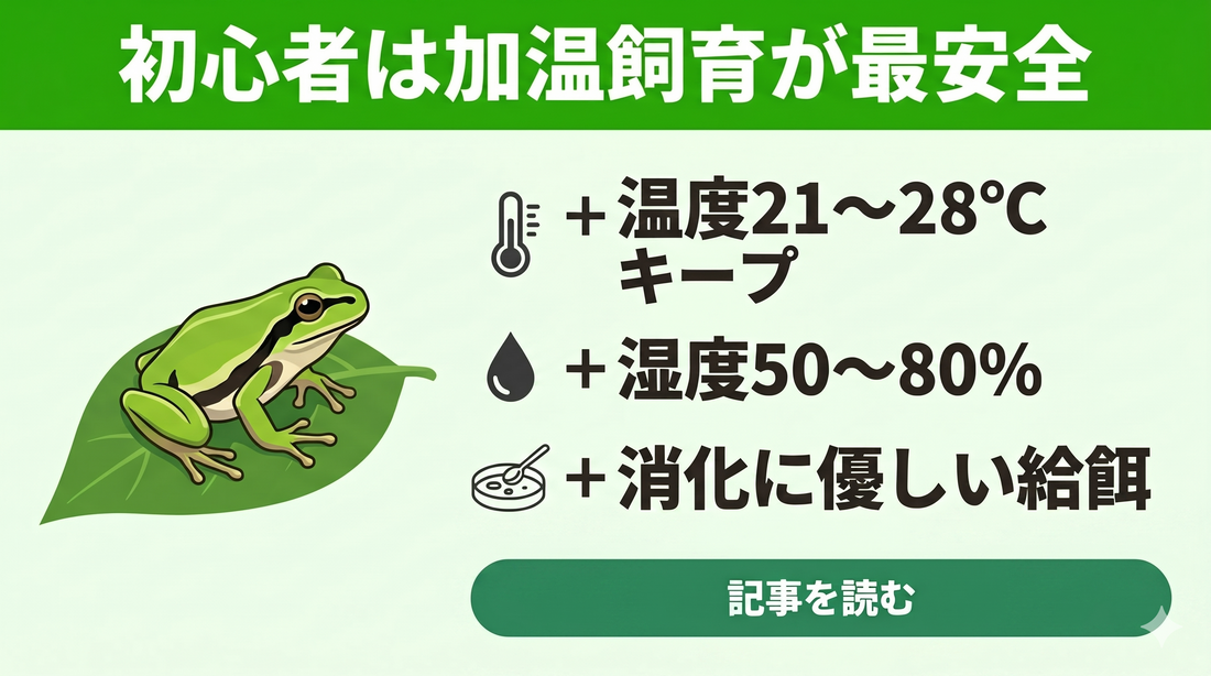 【失敗しない】ニホンアマガエルの冬越し！冬眠のリスクと安全な加温飼育のポイント