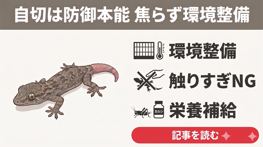 ヤモリの餌ヤモリバイト - 昆虫粉末95%配合の昆虫食ヤモリ向けフード - エコロギー
