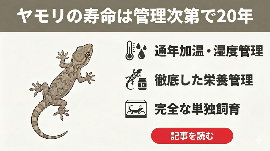 ヤモリの餌ヤモリバイト - 昆虫粉末95%配合の昆虫食ヤモリ向けフード - エコロギー