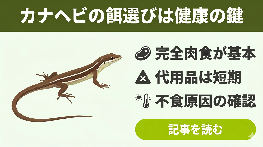 カナヘビの餌を虫以外で代用する方法｜長期使用NGな理由とは