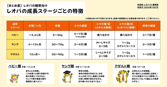 【まとめ】レオパの成長ステージごとの特徴