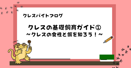 【初心者向け】クレスの飼育ガイド①｜クレスの食性と餌を知ろう！