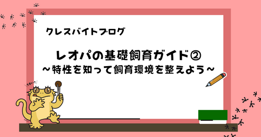 【初心者向け】クレスの飼育ガイド②｜特性を知って飼育環境を整えよう