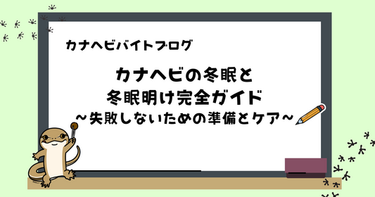 カナヘビの冬眠と冬眠明け完全ガイド 〜失敗しないための準備とケア〜
