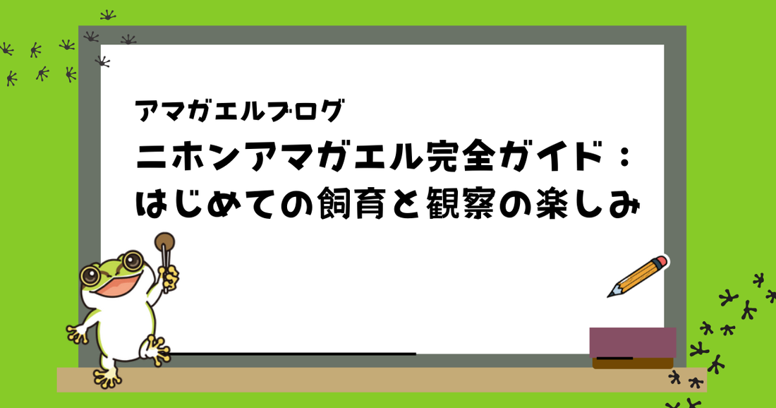 ニホンアマガエル飼育ガイド | 生態・餌の与え方・飼育環境づくり