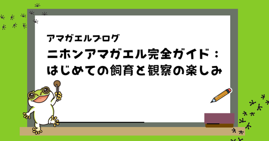 ニホンアマガエル飼育ガイド | 生態・餌の与え方・飼育環境づくり