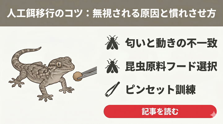 ヤモリの餌ヤモリバイト - 昆虫粉末95%配合の昆虫食ヤモリ向けフード - エコロギー