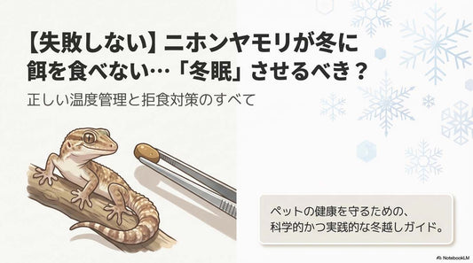 【失敗しない】ニホンヤモリが冬に餌を食べない…「冬眠」させるべき？正しい温度管理と拒食対策
