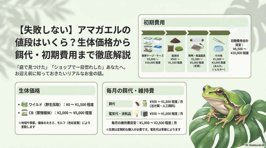 【失敗しない】アマガエルの値段はいくら？生体価格から毎月の餌代・初期費用まで徹底解説