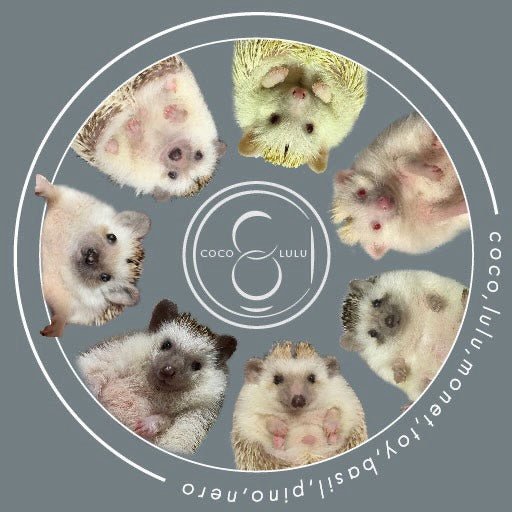 ハリネズミのココとルル　様