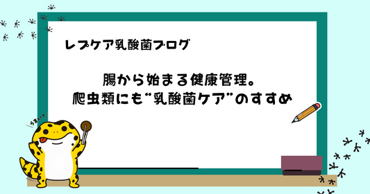 腸から始まる健康管理。爬虫類にも“乳酸菌ケア”のすすめ
