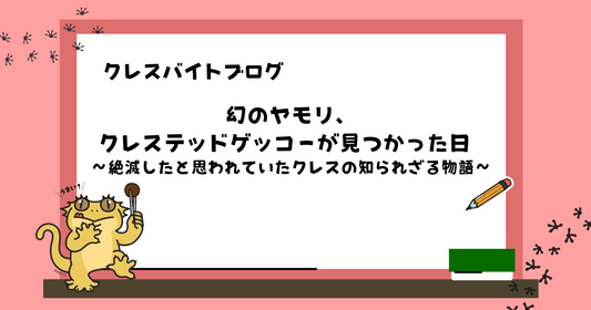 「幻のヤモリ、クレステッドゲッコーが見つかった日」  〜絶滅したと思われていたクレスの知られざる物語〜