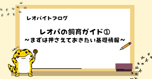 【初心者向け】レオパ（ヒョウモントカゲモドキ）の飼育ガイド①｜まずは押さえておきたい基礎情報