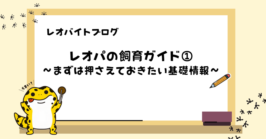【初心者向け】レオパ（ヒョウモントカゲモドキ）の飼育ガイド①｜まずは押さえておきたい基礎情報