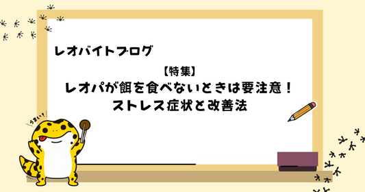 レオパが餌を食べないときは要注意！ストレス症状と改善法