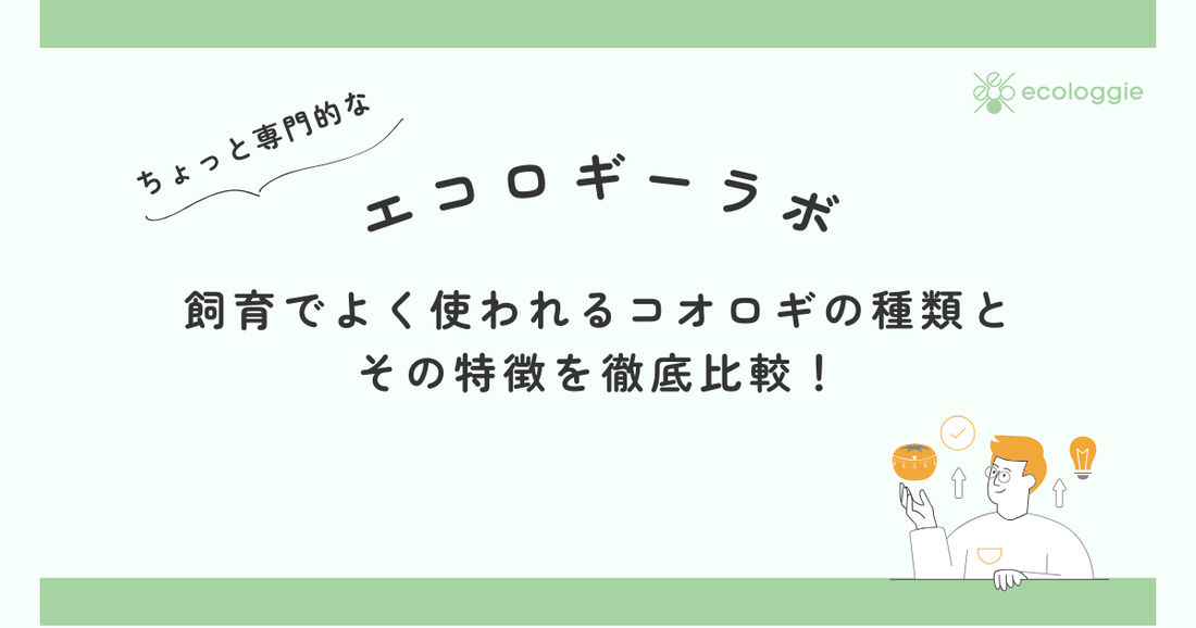 飼育でよく使われるコオロギの種類と その特徴を徹底比較！