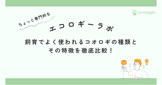 飼育でよく使われるコオロギの種類と その特徴を徹底比較！