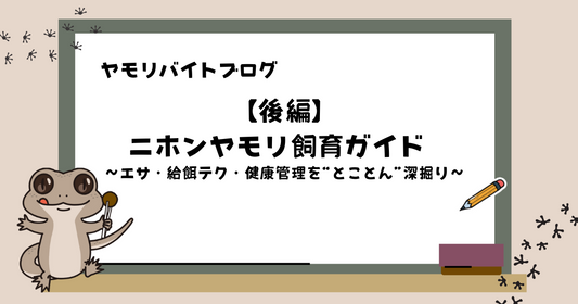 【後編】ニホンヤモリ飼育ガイド | エサ・給餌テク・健康管理を“とことん”深掘り