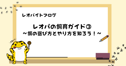 【初心者向け】レオパ（ヒョウモントカゲモドキ）の飼育ガイド③｜餌の選び方とやり方を知ろう！